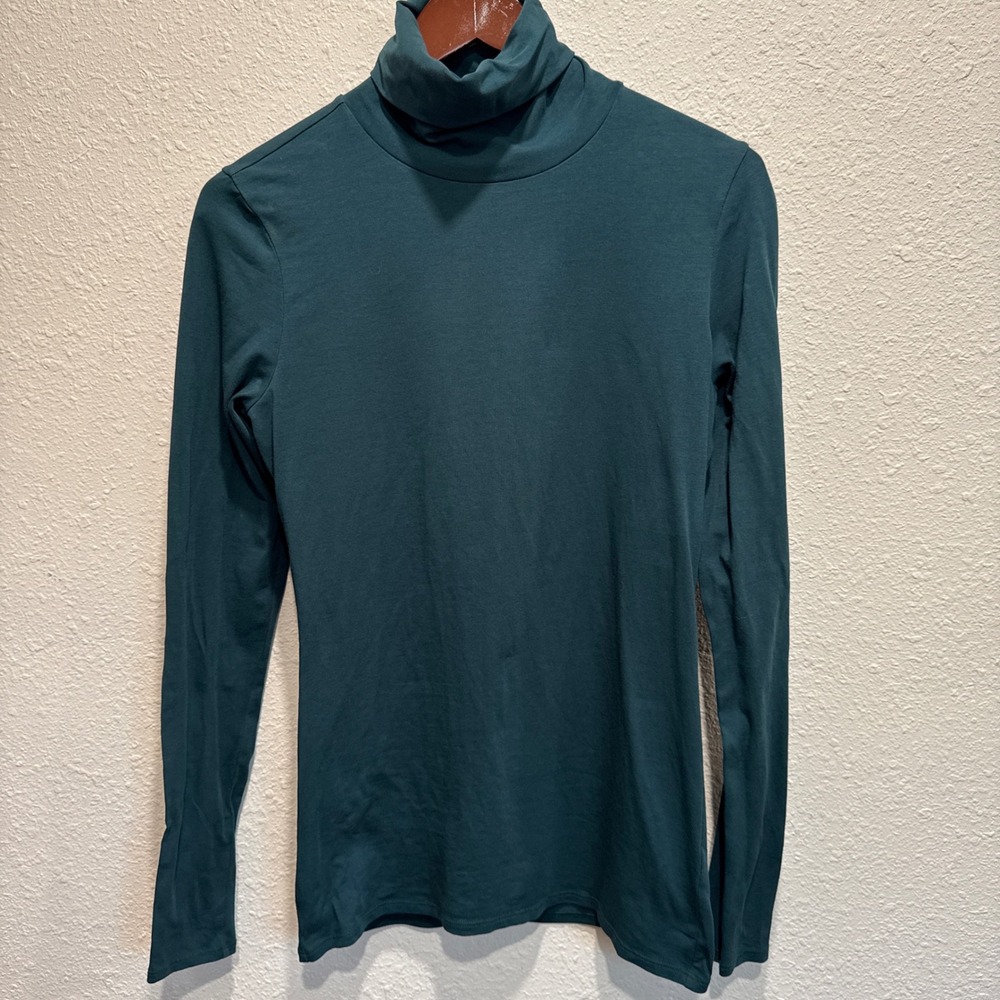 Peruvian Connection Teal Green Pima Cotton Lycra Turtleneck Top Small LS